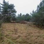 Hundeparadies 