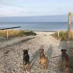 Hundeparadies 