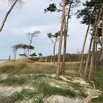 Hundeparadies 