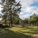 Hundeparadies 