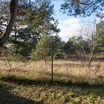 Hundeparadies 