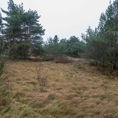 Hundeparadies 
