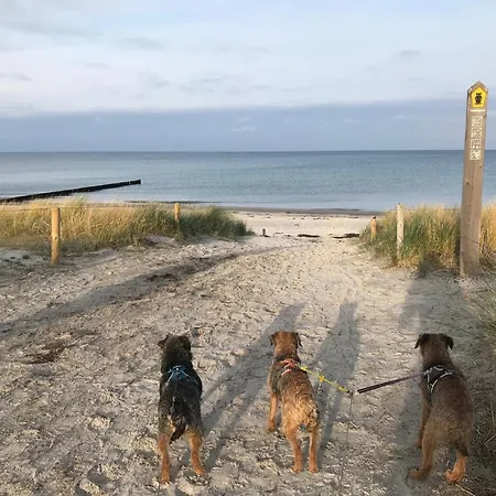 Hundeparadies 