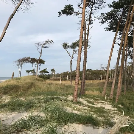 Bodden Paradise Pruchten