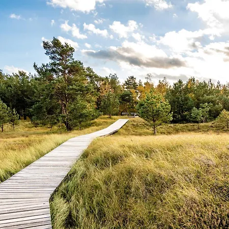 Dom wakacyjny Bodden Paradise