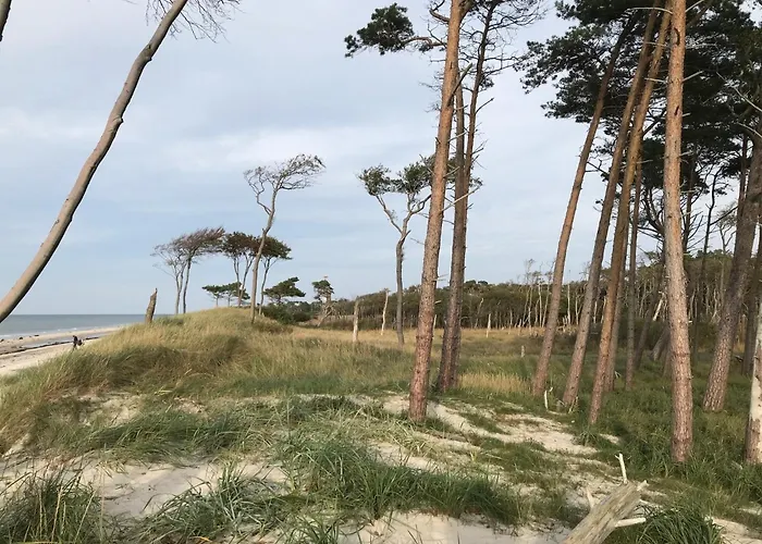 Hundeparadies 